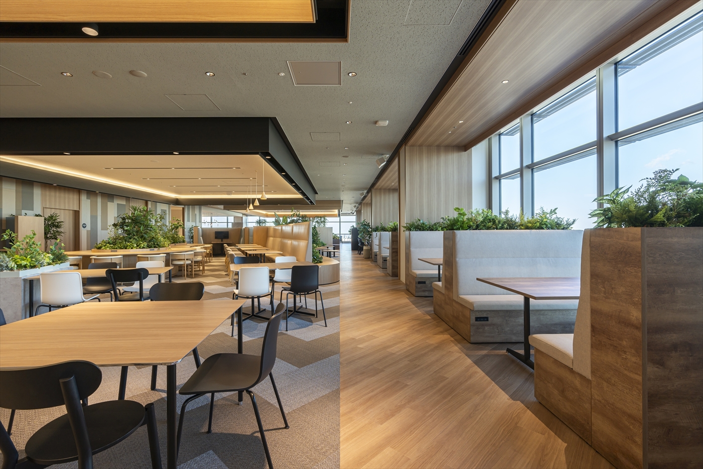 住友商事株式会社東京本社 社員食堂（CO CAFE）リニューアル 住商インテリアインターナショナル